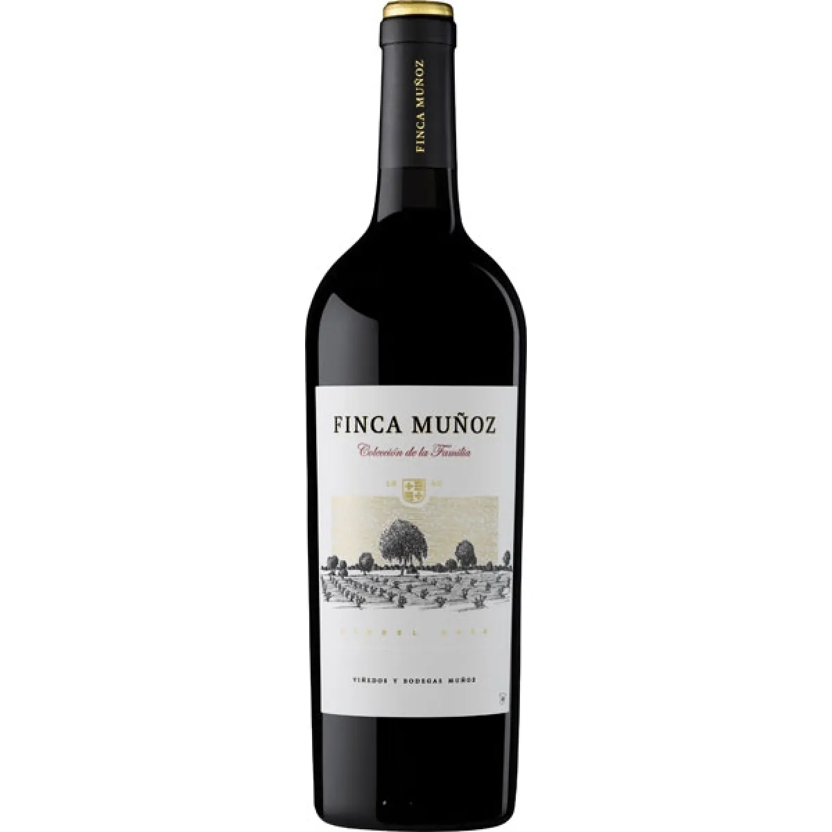 Finca Muñoz Tinto Rotwein trocken 0,75 l | 2020