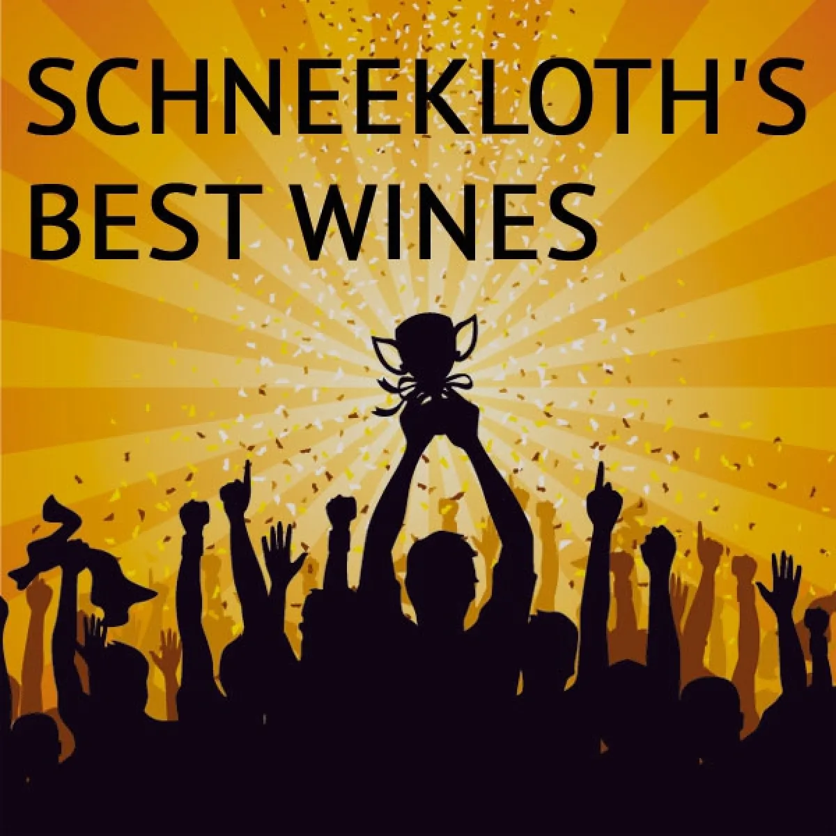 Weinpaket Schneekloth´s Best